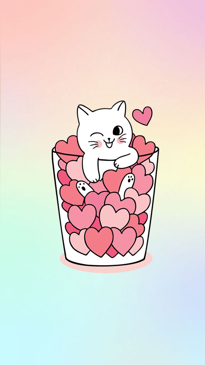 котик