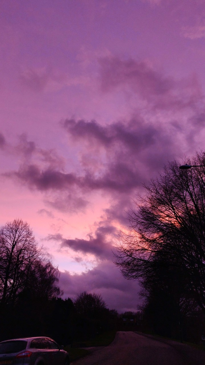 purple sunset