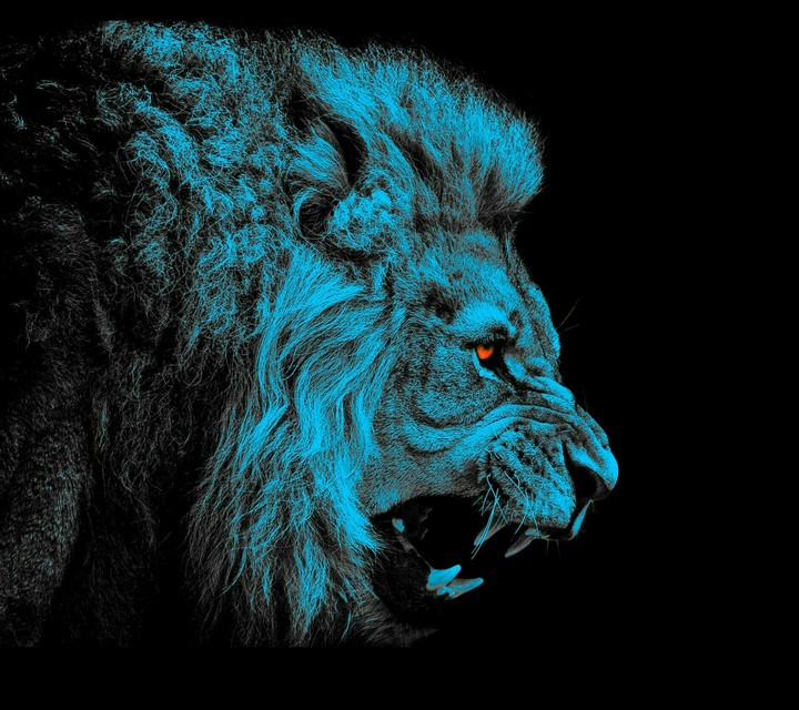 Aim in eyes of lion