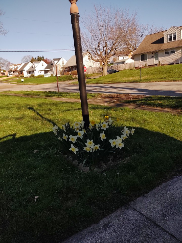 Spring