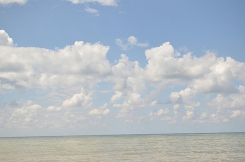 #sea