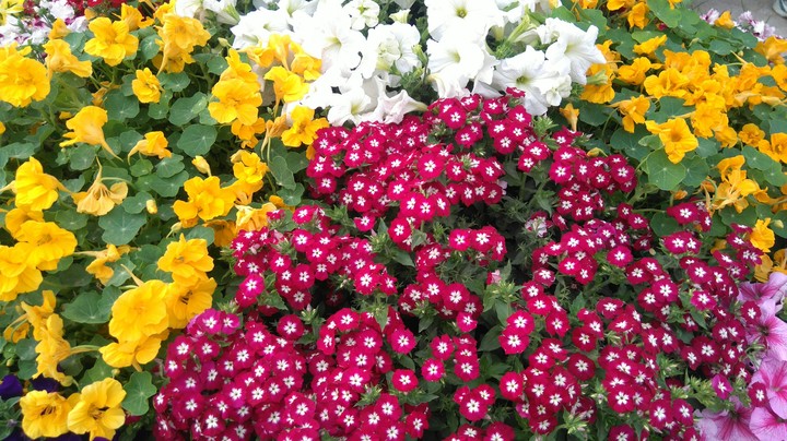 beautiful world