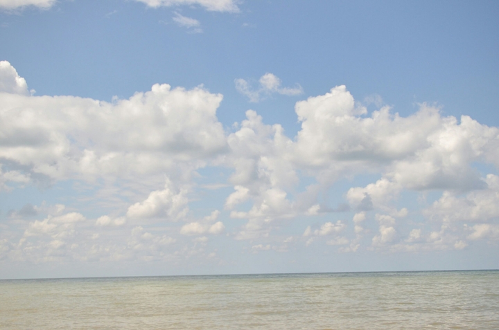 #sea