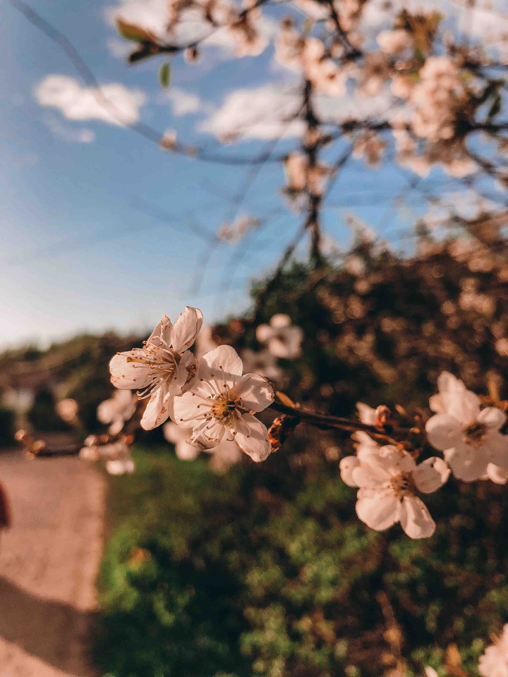 spring vibes