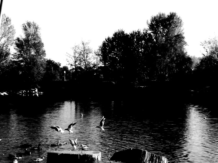lake