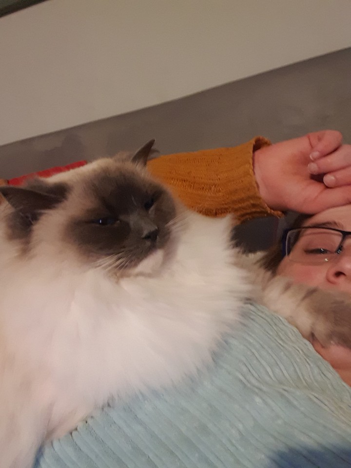 when your given the paw!!