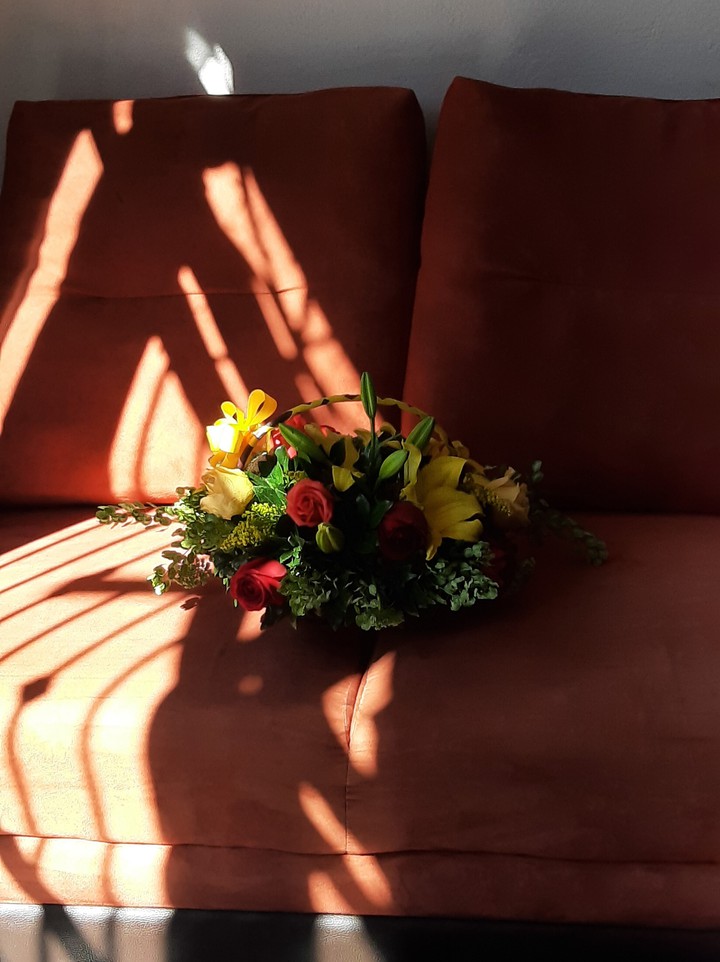 Christmas + flowers IG: T.o.m.h.r_