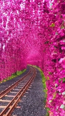 Magical♥️