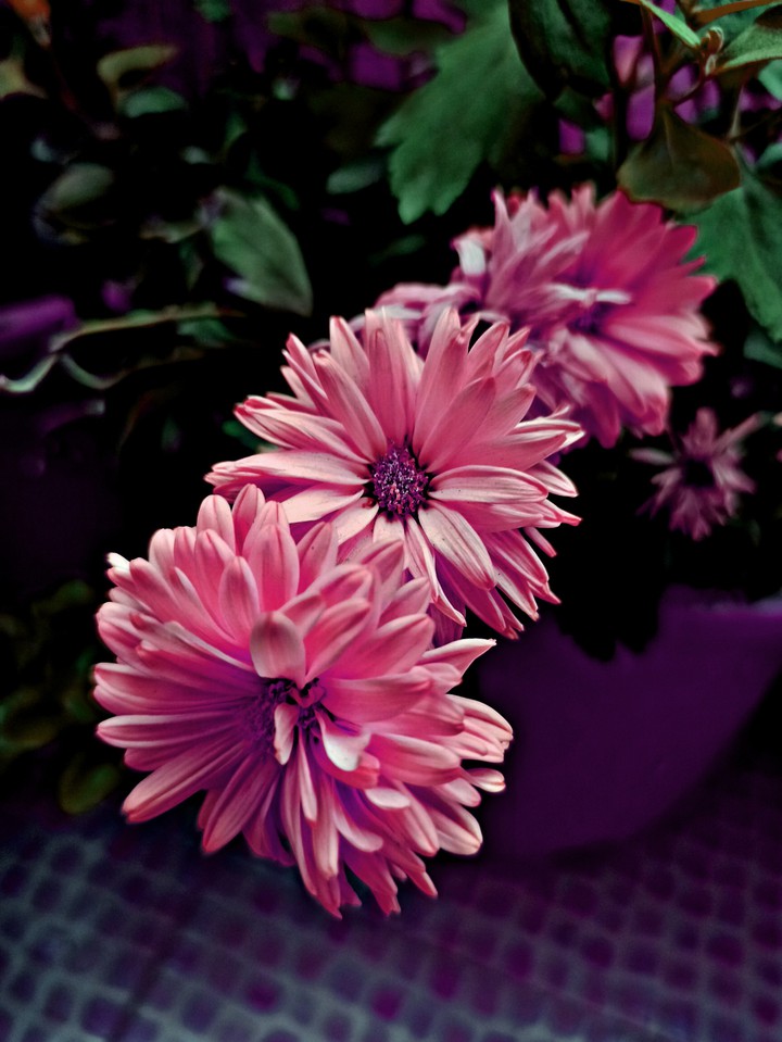 ???Start Fresh New Day??