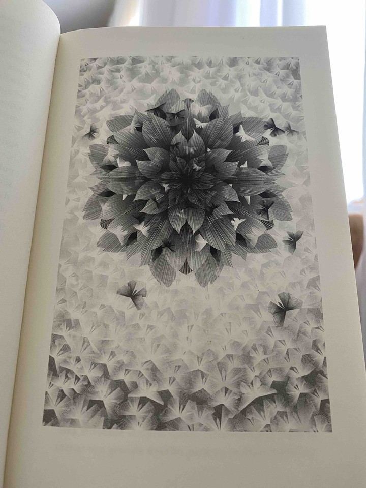 livro