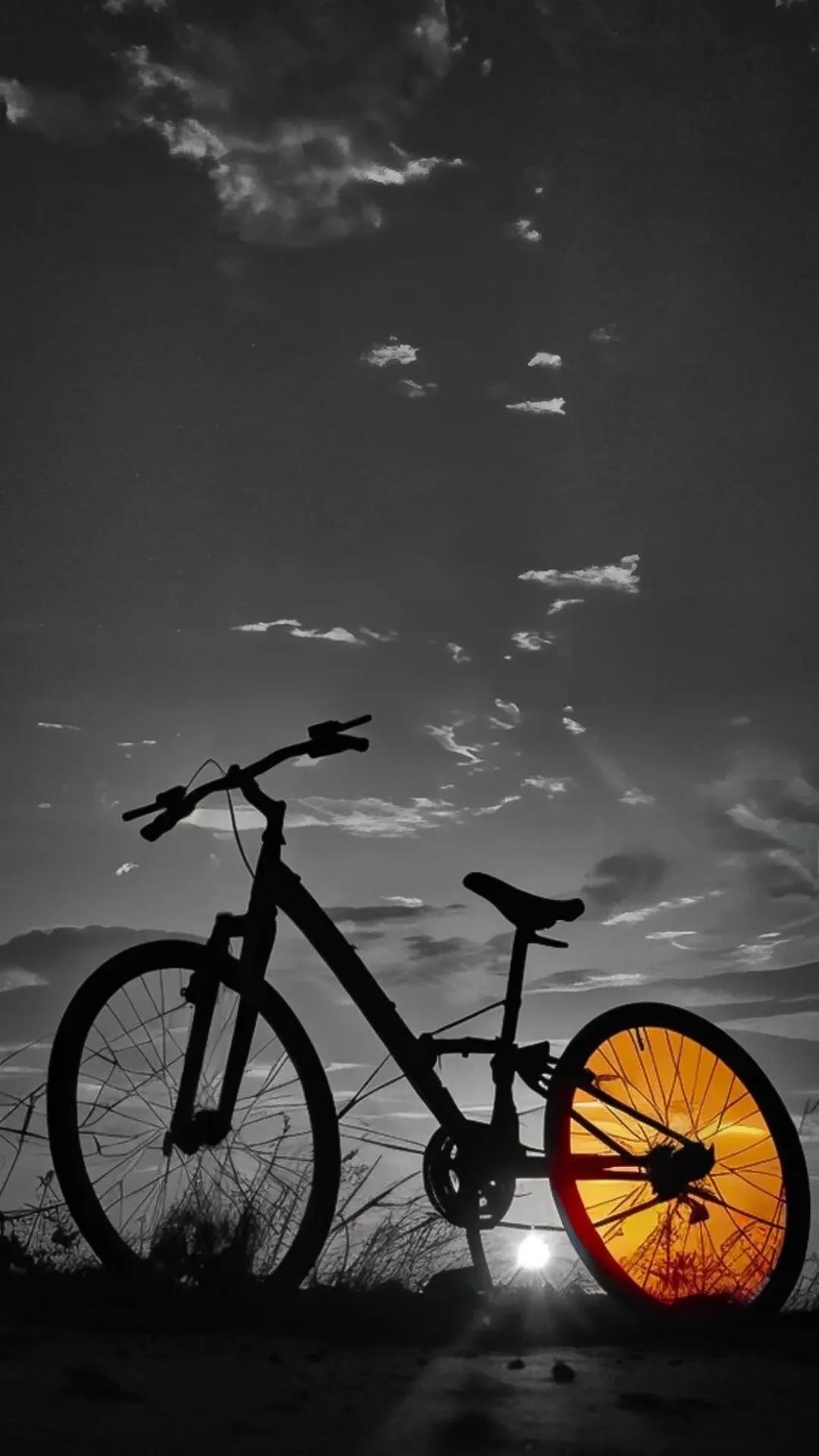 fondos de pantalla tire, Wheel