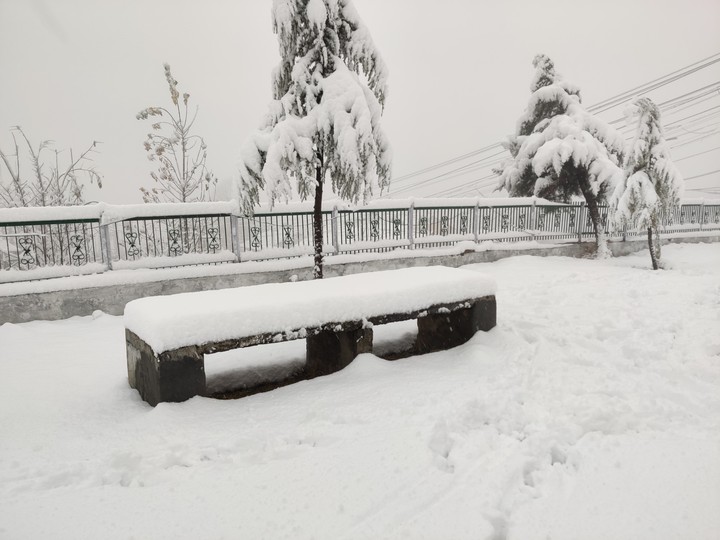 Snow