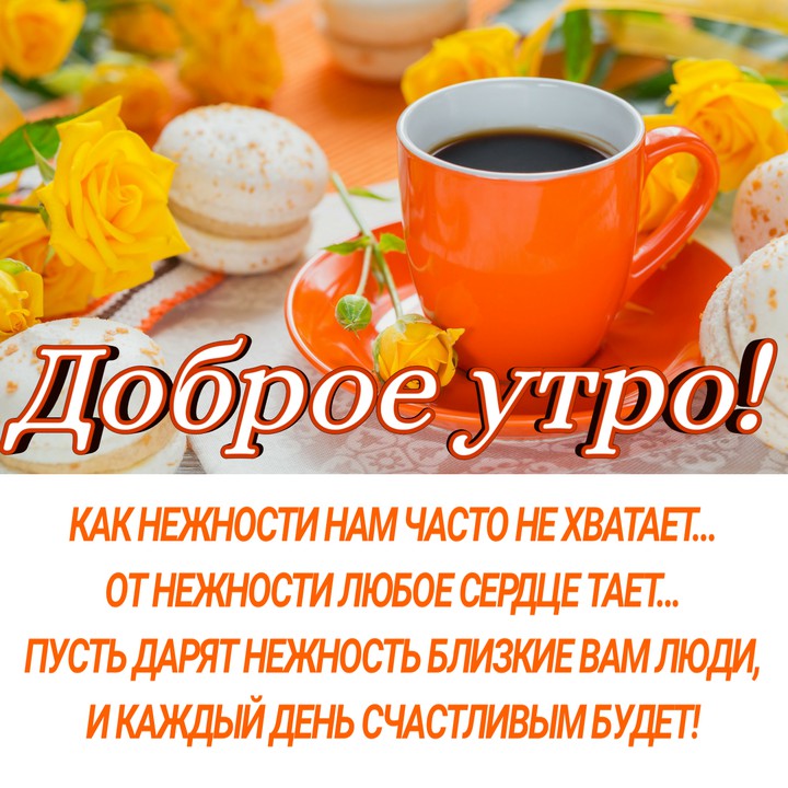 доброе утро