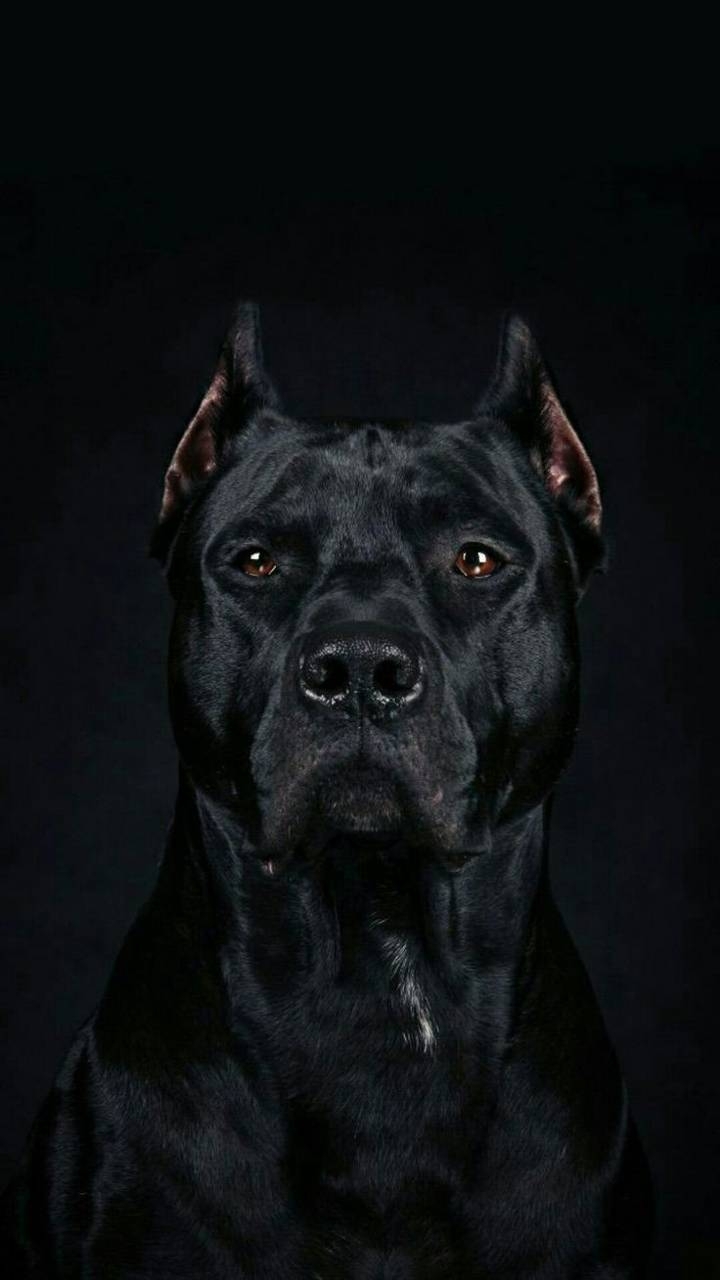 https://vk.com/oboi_4kfullhd