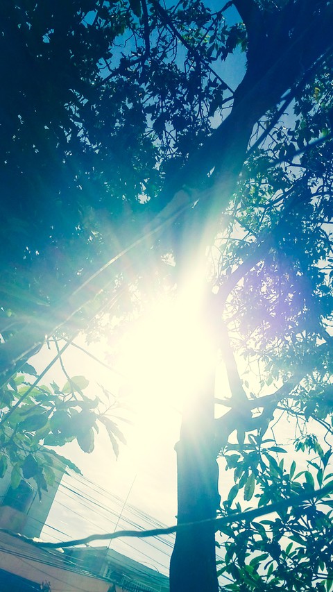 sol