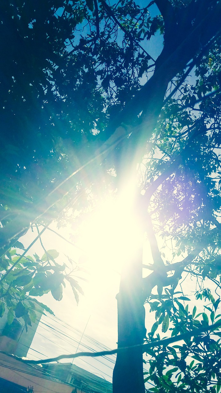 sol