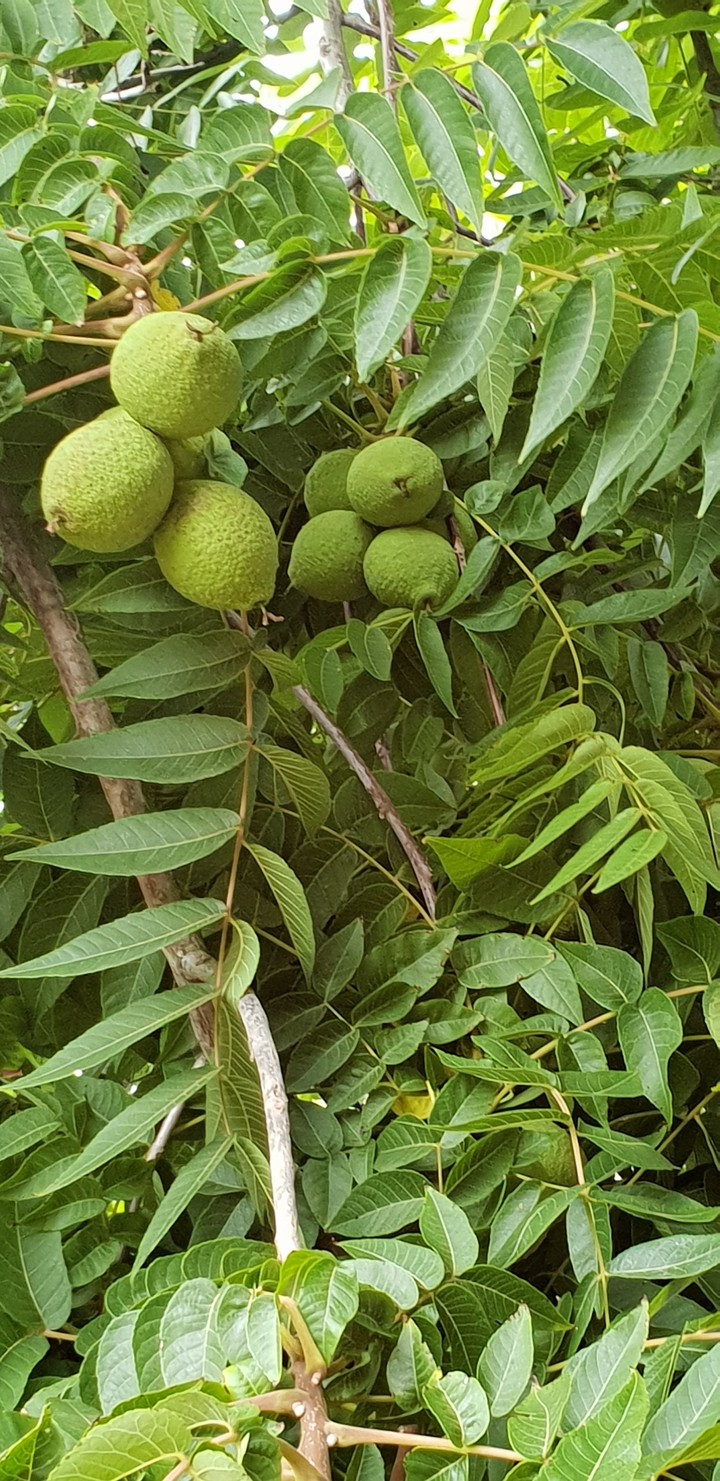 So green