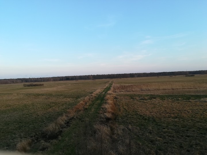 road to anywhere