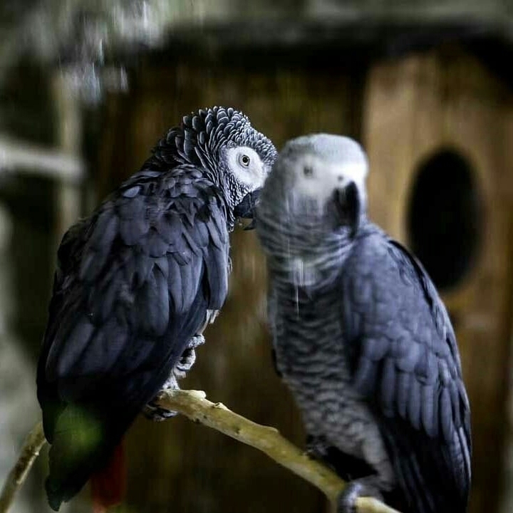 ❤