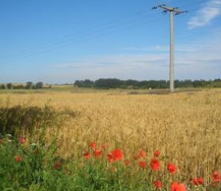landschaft
