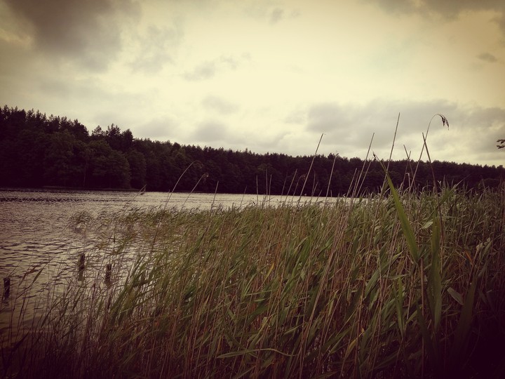 Last summer.....