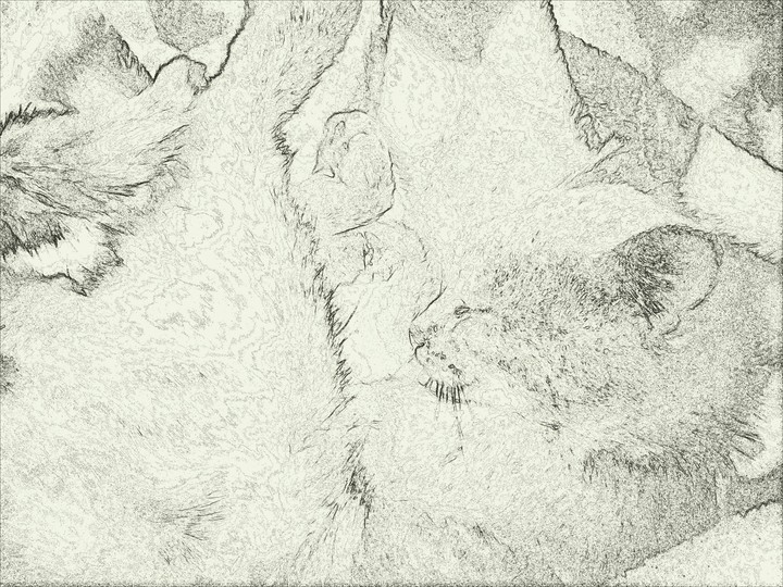 sleep