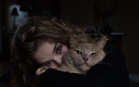 cat