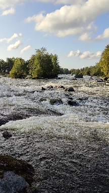 Water 4