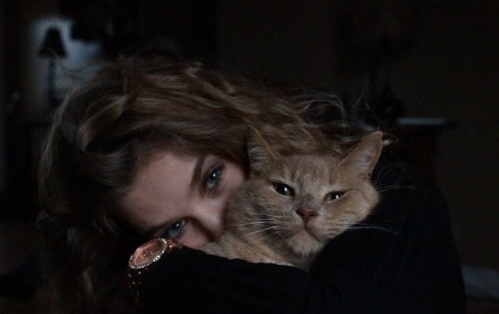 cat