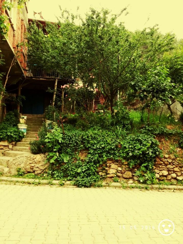 village