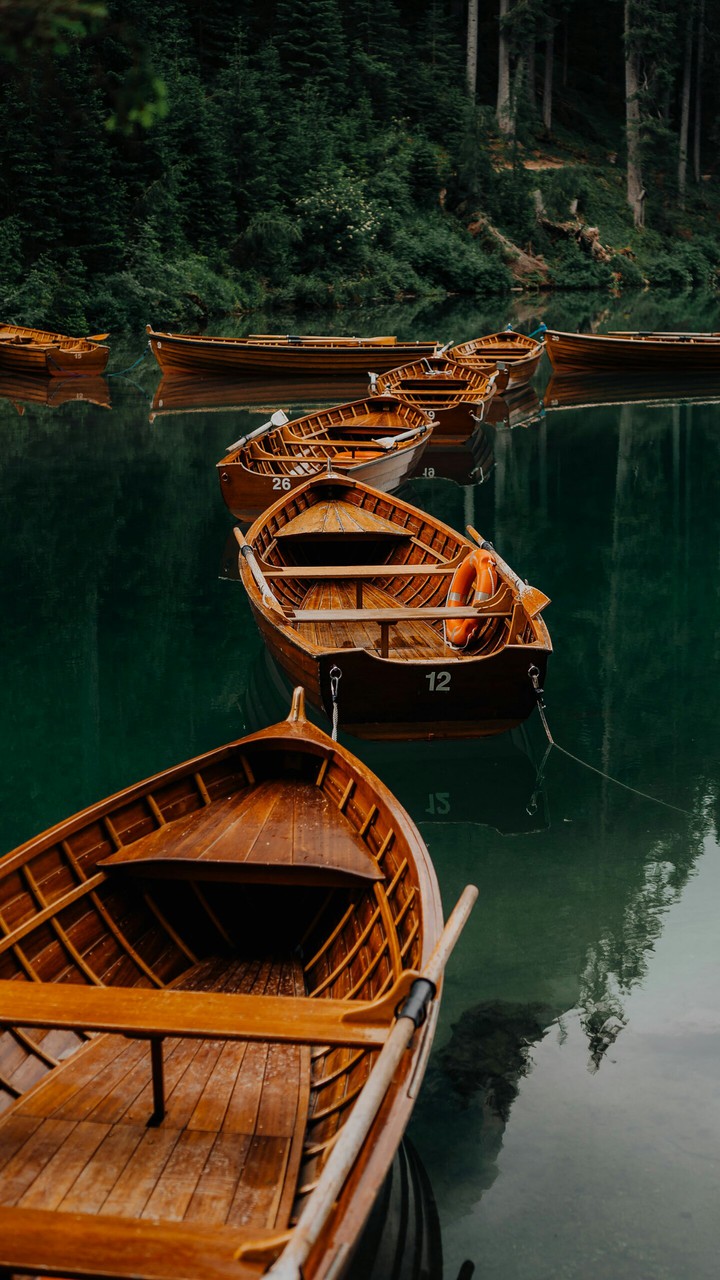 boats