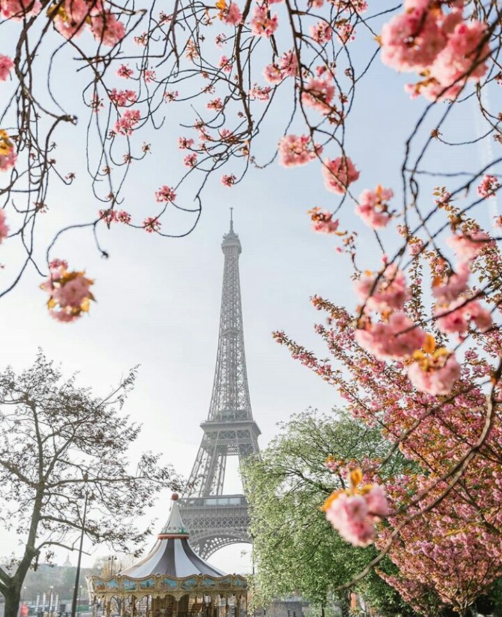 La tour Eiffel -Paris-
