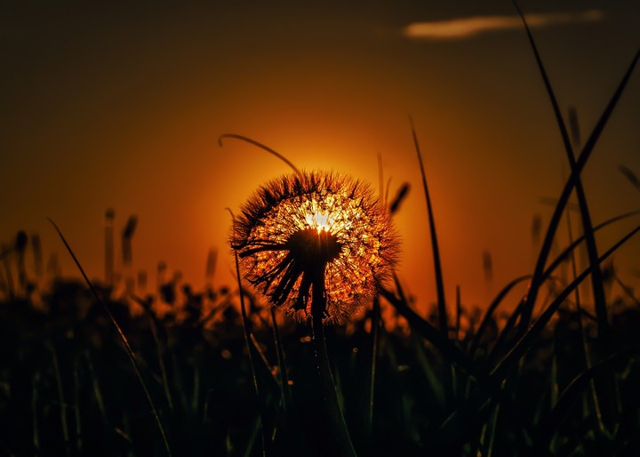 Dusk
