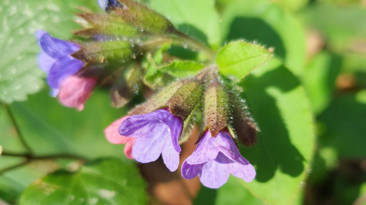 Frühling
