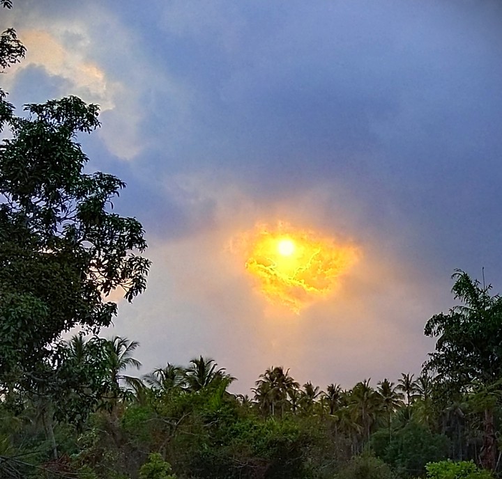 Golden Sunshine !