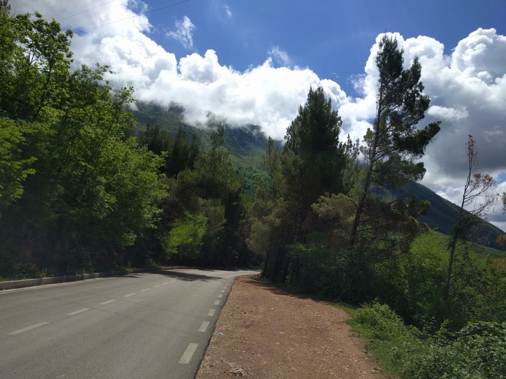 Canyon driving