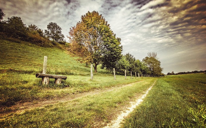 Nature