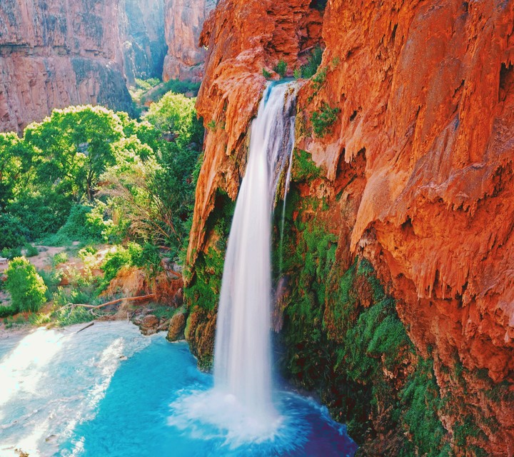 nature