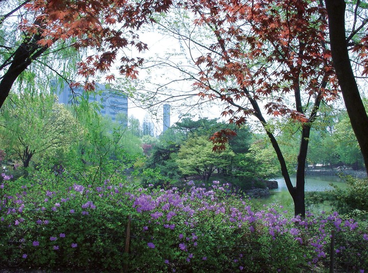 풍경이미지