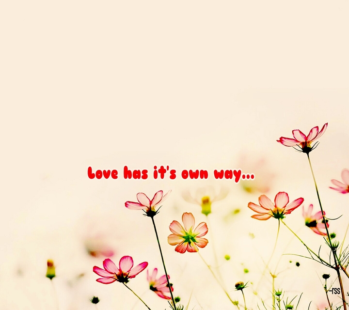 love