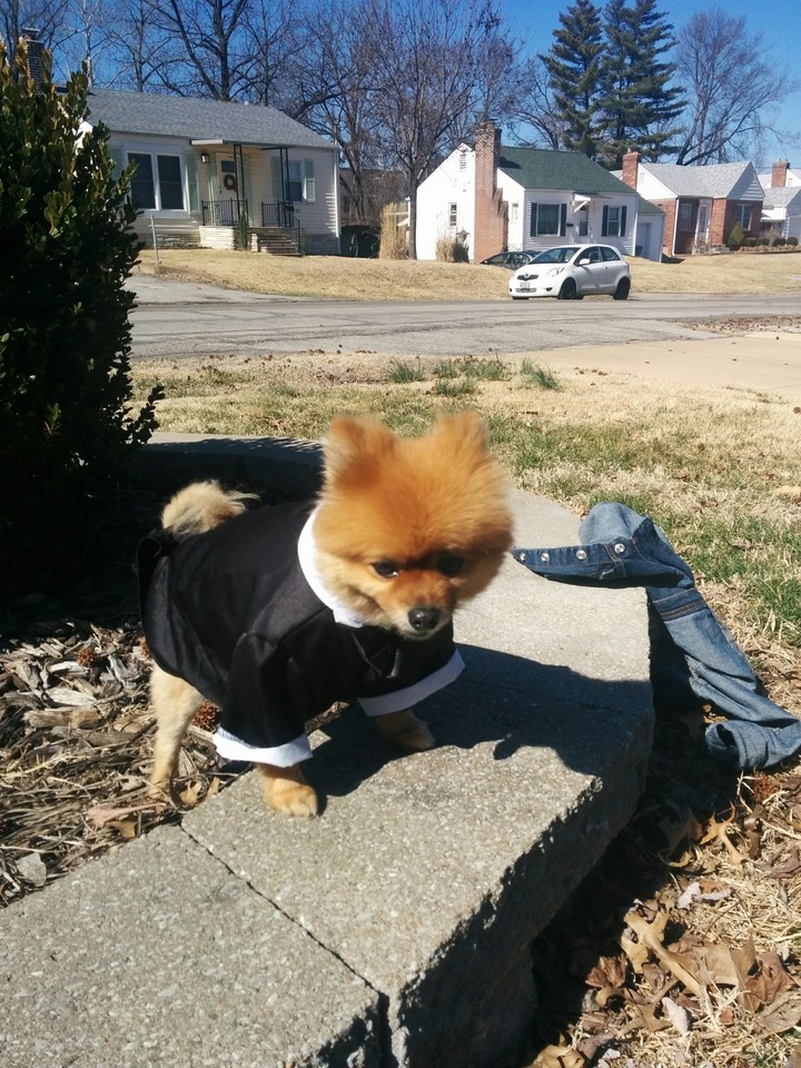Teddy Tux