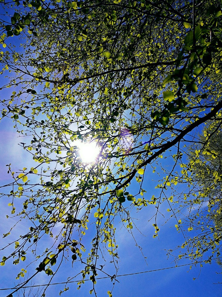 sun