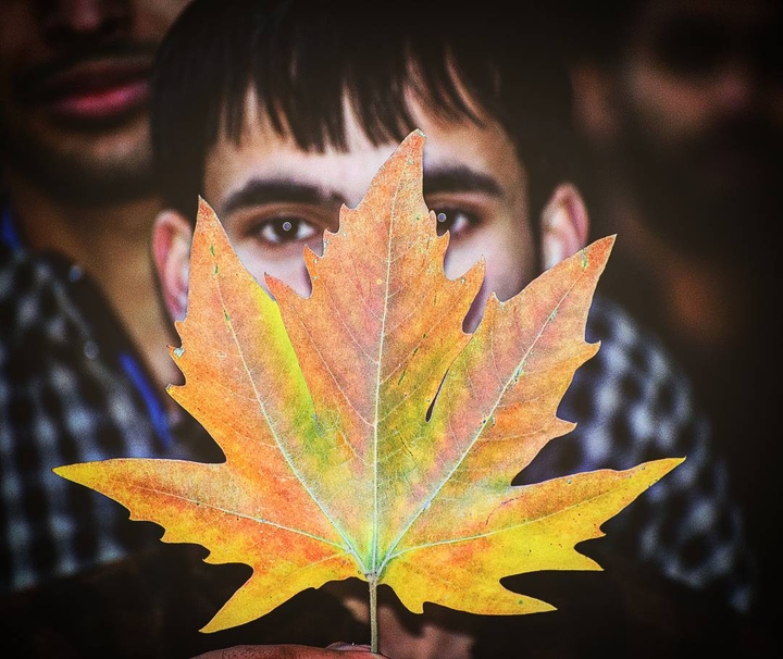 Chinar