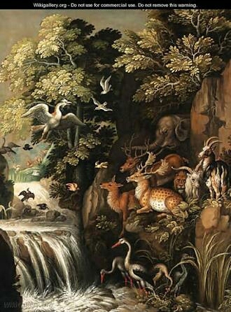 WILD ANIMALS