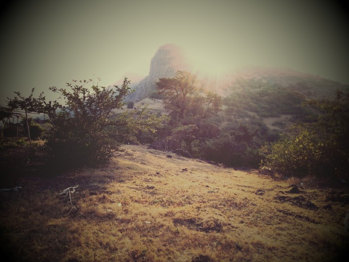 every morning is beautiful in its own way