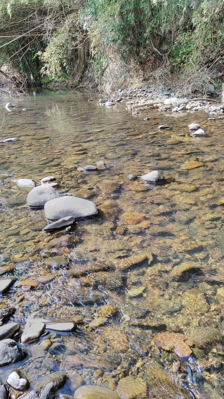 stream