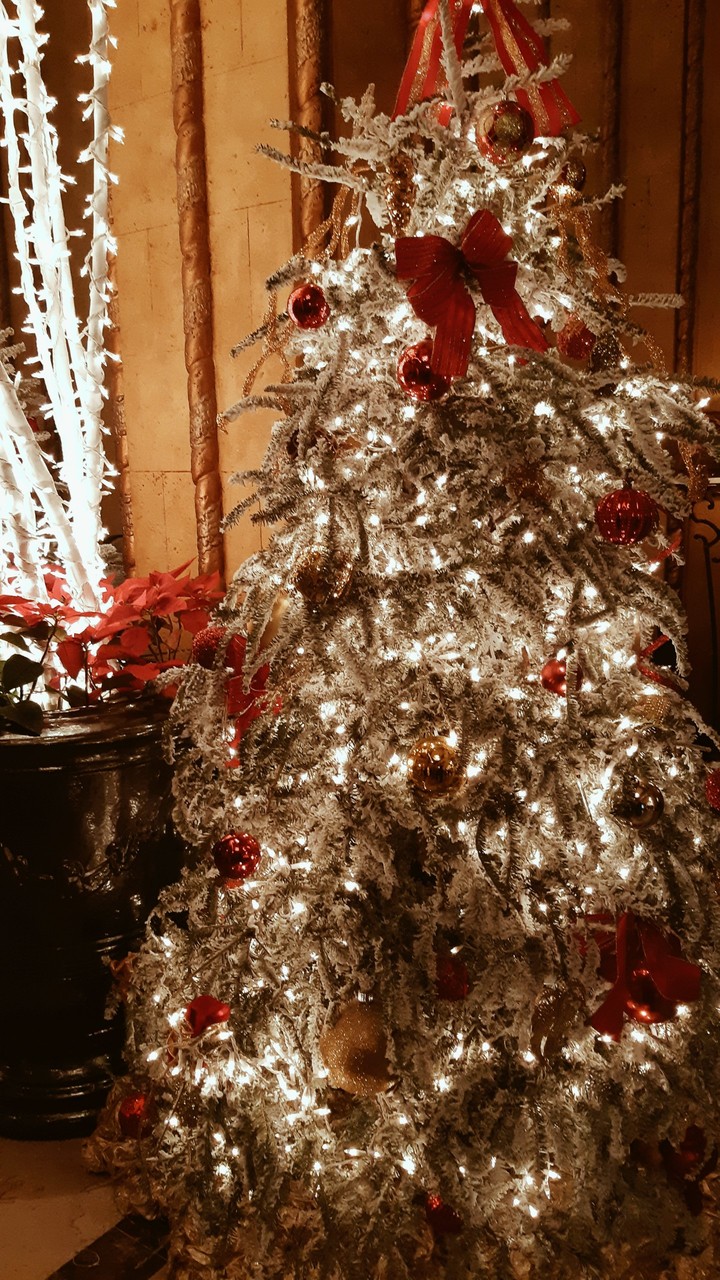 Christmas