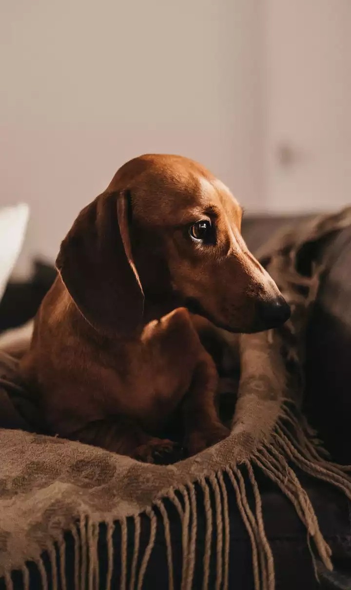 ☺