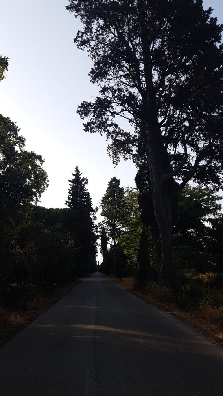 Walking
