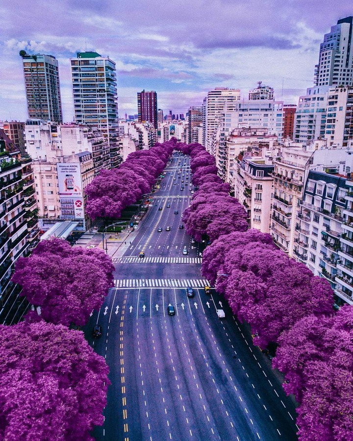 #city#purple